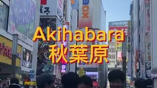 Music Bank Global Festival 12.09.23 | Random vlog in Saitama, Tokyo and Morioka