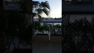 dubai water canal view #viral #shorts