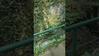 Абхазия, ресторан ущелье. топ самых лучших мест для отдыха2022 