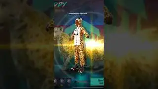 Swift Leopard Outfit 10 Uc