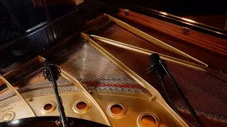 MXL 770 - Piano