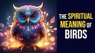 The Spiritual Meaning of Birds: Discover How Bird Signs Reveal Your Soul Nature