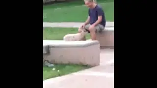 algunos sacan a sus perros otros sacan a su cabra 🧐👌