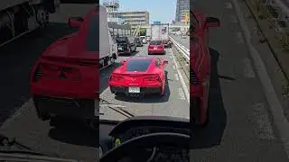 Краснющая красавица    