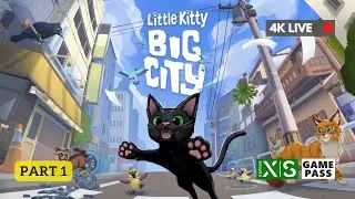 《小貓咪大城市》Little Kitty, Big City: Part 1 #4K直播 #XBoxSeriesX #Gamepass #廣東話 (11 May 2024)