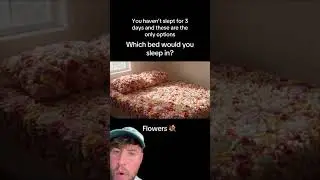 WHICH BED YOU CHOOSING ? 🎥sarahsaiasmr 