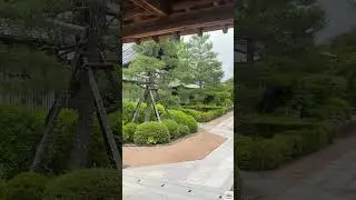 Myoshin #temple ⛩️ #kyoto #japantravel #japan #shorts