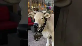 Синий трактор, Кукутики и другие мультики ￼хороши, но веселить мы можем лучше ￼#шортс #shorts #семья