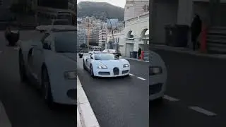 Bugatti Or Lamborghini 🏎