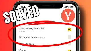 How to delete your browsing history in Yandex Browser