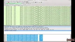 Mastering Wireshark How to export packet contents