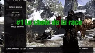 Choisir sa race - guide ULTIME - TESO