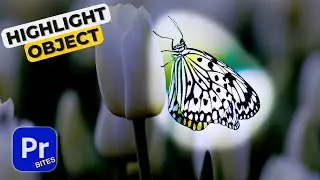 How to HIGHLIGHT OBJECT in Premiere Pro