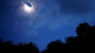 Краснодарские вечера