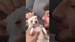 Kissing my dog❤️🥹 