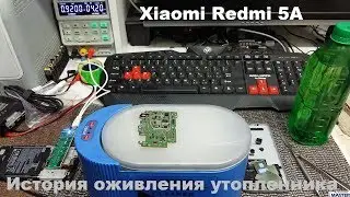 История оживления утопленника. Xiaomi Redmi 5A Не включается.