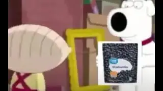 stewie is scared of great value blueberries