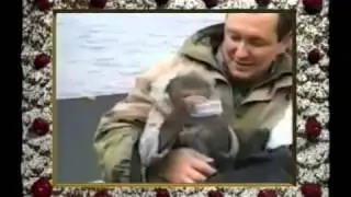 Сам себе режиссер. Обезьяны.
