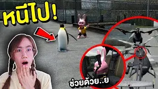 ถ้าเจอ เพนกวินบินได้สุดหลอน หนีไปให้ไวที่สุด !! Penguin Zoochosis | Mind&Nat