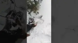 ОХОТА на ЗАЙЦА ОХОТА с СОБАКОЙ ЗАЯЦ БЕЛЯК