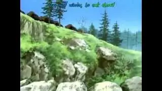 Wolf Cat AMV