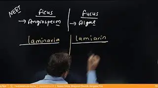 Sexual reproduction of flowering plants | Lecture -14 Class - NEET TARGET English