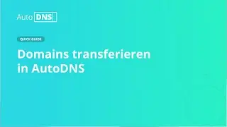 AutoDNS Quick Guide: Domains transferieren