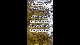 28 октября Ефимий Осенний, приметы 