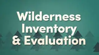 How Does Land Become Wilderness? (A Helpful Infographic to Explain this Complex Process)