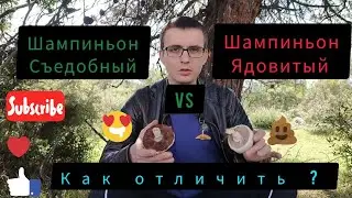 How to distinguish a poisonous champignon from an edible one
