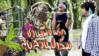 ภัทรโดนแม็กหลอกให้ไปเก็บปาล์มเป็นตัน! เหนื่อยมาก!!! | #หน่องแม็ก #OKWEGO