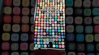 262 MARCADORES😱😵de ALCOHOL🤯. Me faltaron 2 colores? 🥴 #marcadores #marcadoresdealcohol