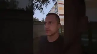 Что по кошкам? #дрессировкасобаксолигорск #pitbull #питбультор