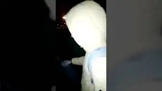 Заходим в заброшку | встретили монстра? Гошин дом?