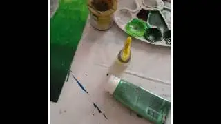 Єнот