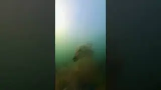 Представь, что ты блесна