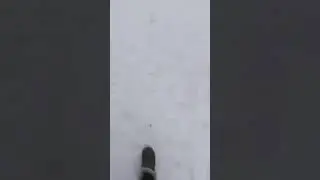 Hola periscope 9