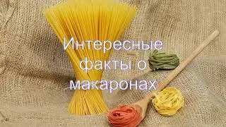 Интересные факты о макаронах