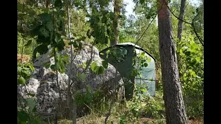 Палатка для душа Alexika Private Zone. Как сделать душ в походе?
