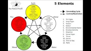 Importance of constitution in Acupuncture