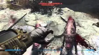 Fallout 4 Animal Control