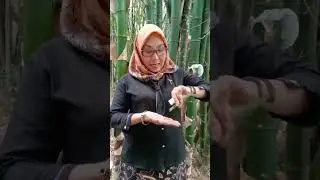 jika cari uang semudah ini #duit#cuan#Rejeki# kerja#kaya