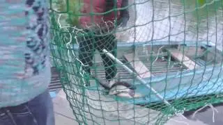 Я люблю рыбалку