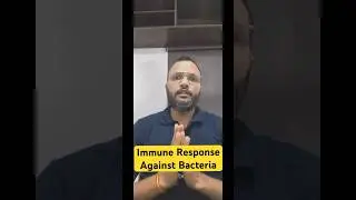 Immune Response Against Bacteria | CSIR NET December Notification 2024 #shorts #csirnet2024