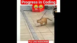 Progress in Coding Learning 😂 