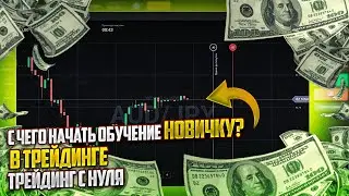 С ЧЕГО НАЧАТЬ ОБУЧЕНИЯ НОВИЧКУ В ТРЕЙДИНГЕ ТРЕЙДИНГ С НУЛЯ