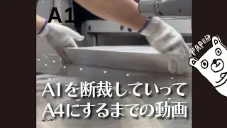 松本洋紙店の用紙を断裁する動画