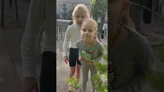 Tre not to laug#short #happy