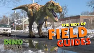 Best of Dino Dan, Trek's Adventures and Dino Dana Field Guides