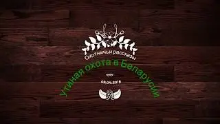 Охота на гусей в Беларусии
